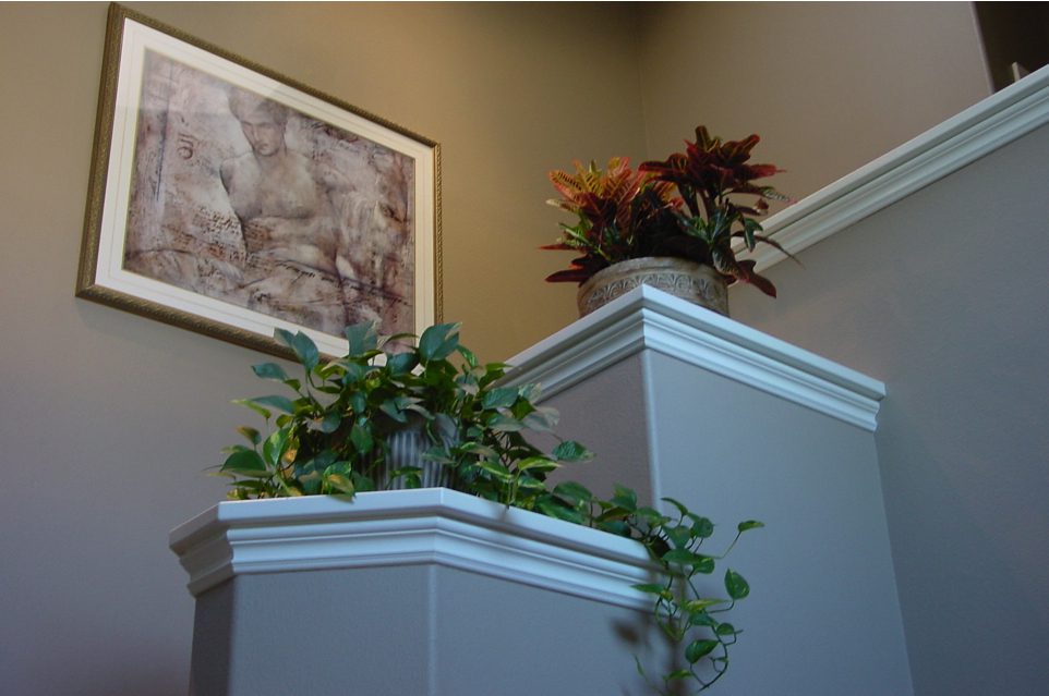 A plant is sitting on the steps of a house.